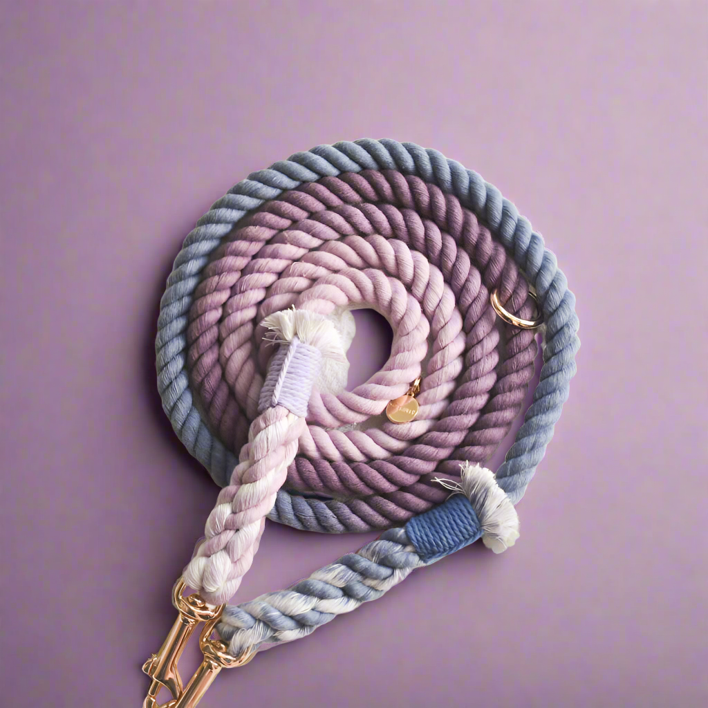 Leash | Violet