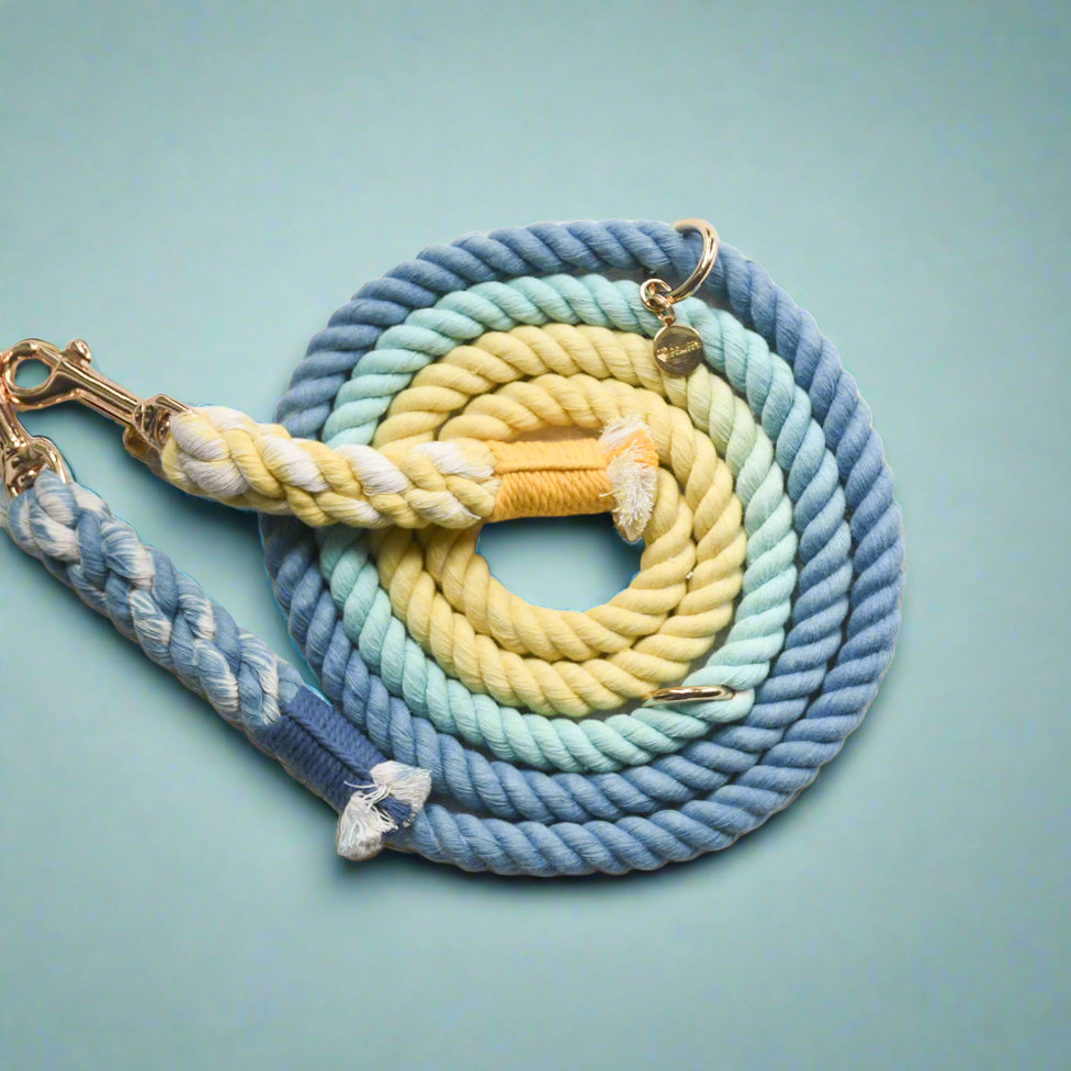 Leash | Dawn
