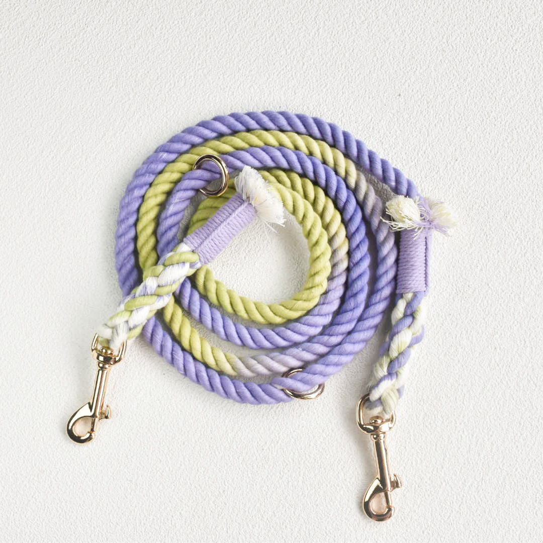 Leash | Lavender Fields