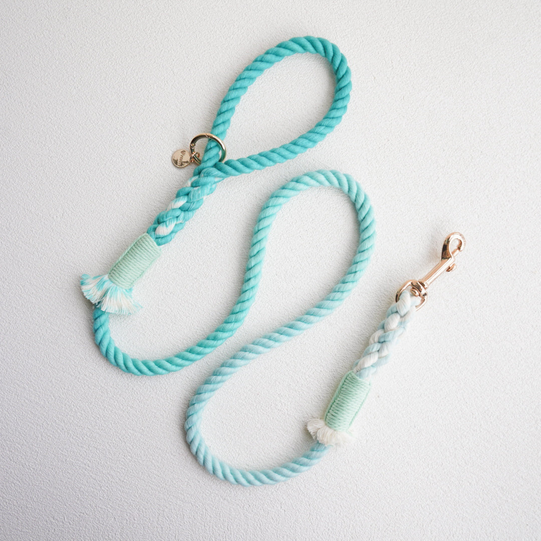 Leash | Emerald