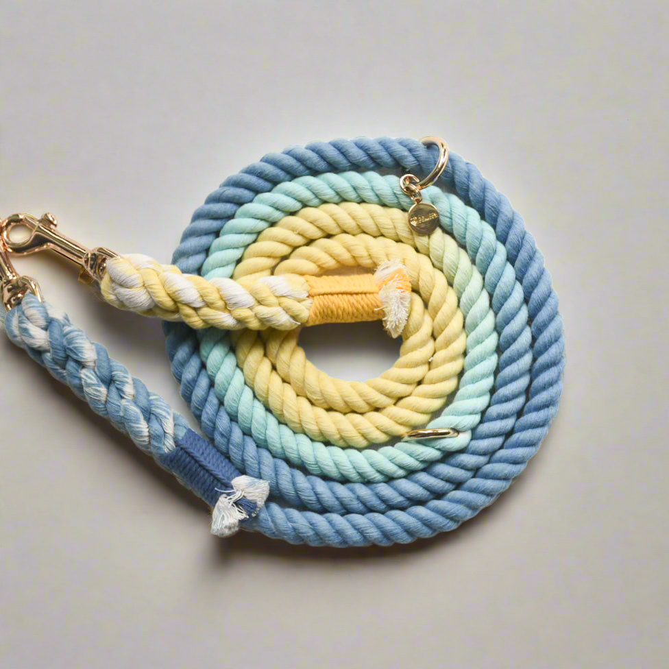 Leash | Dawn