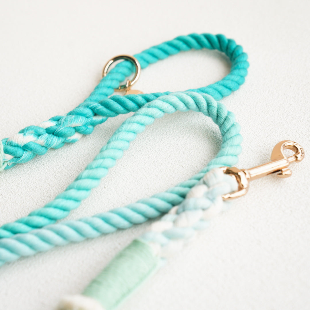 Leash | Emerald