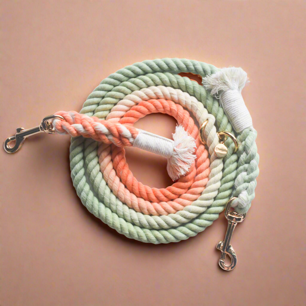 Leash | Bubble Soda