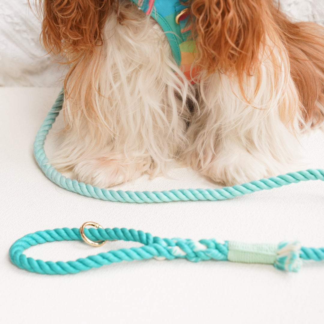 Leash | Emerald