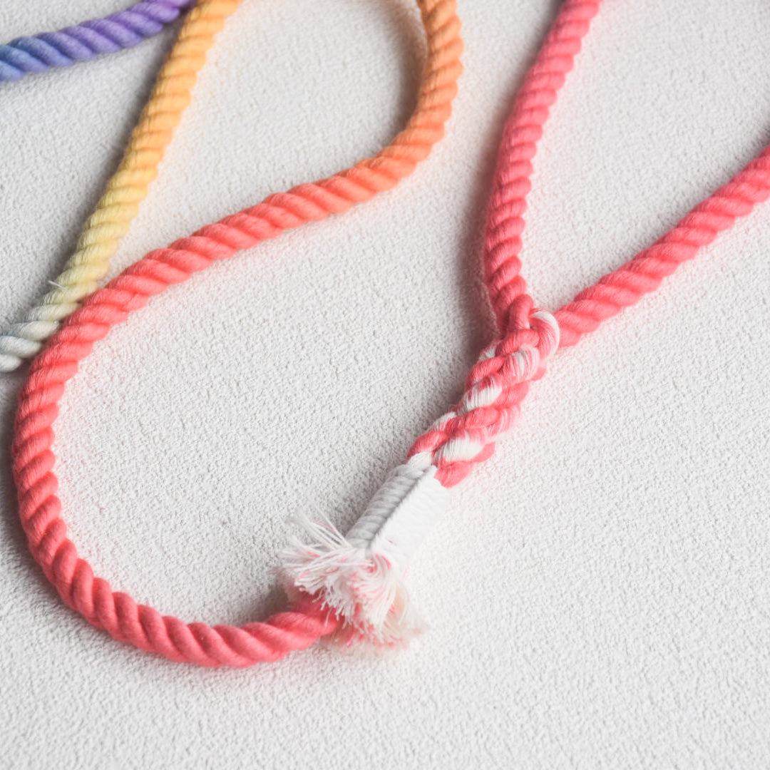 Leash | Customised colour