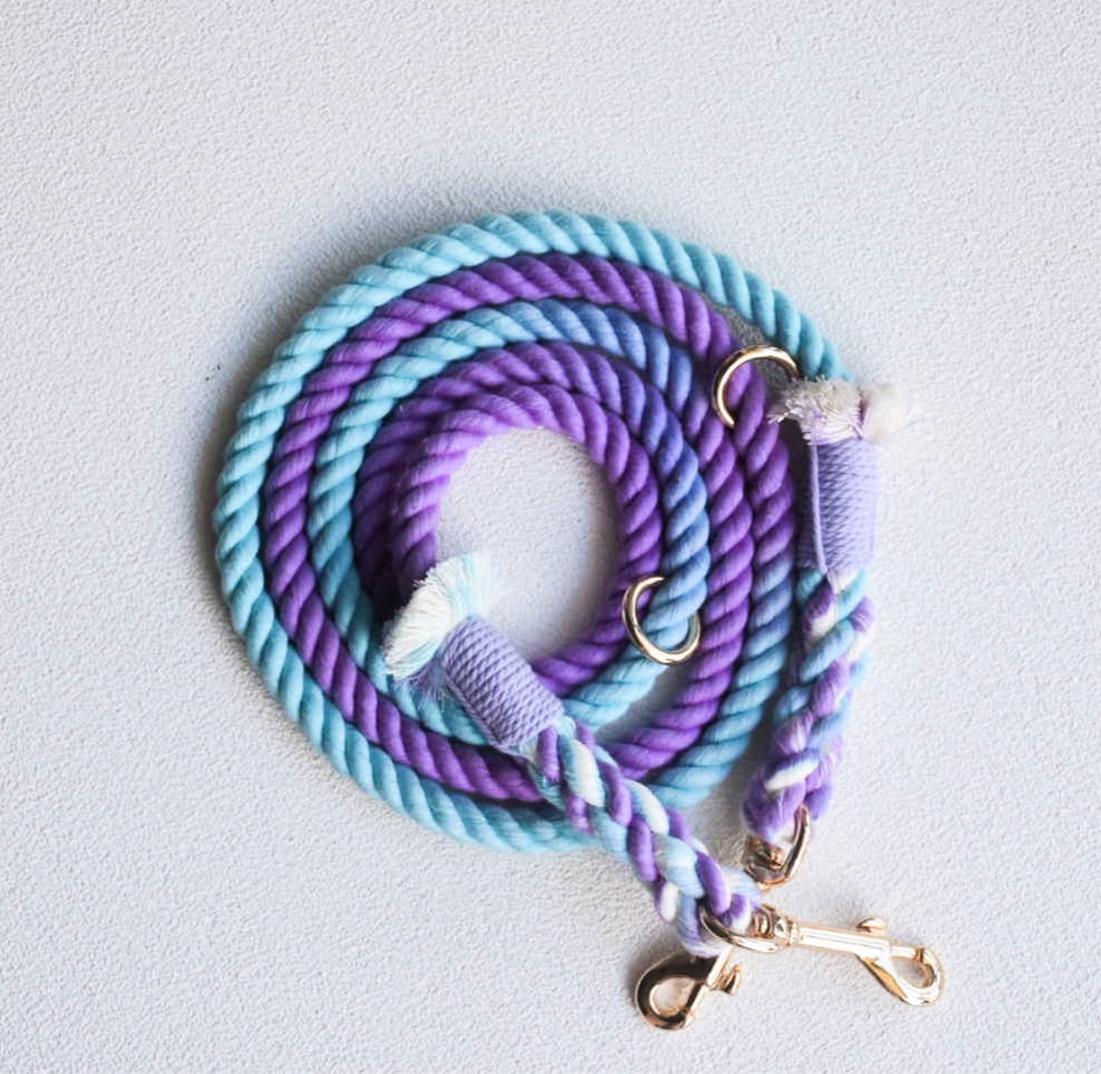 Leash | Aurora