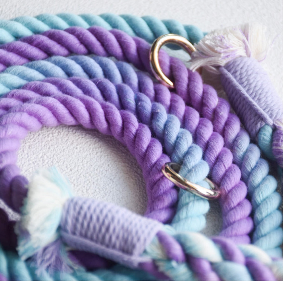 Leash | Aurora