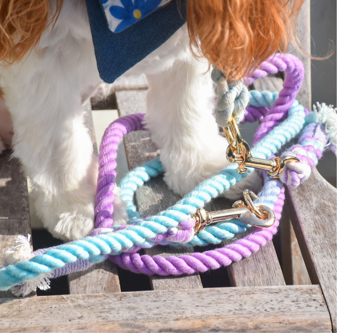 Leash | Aurora