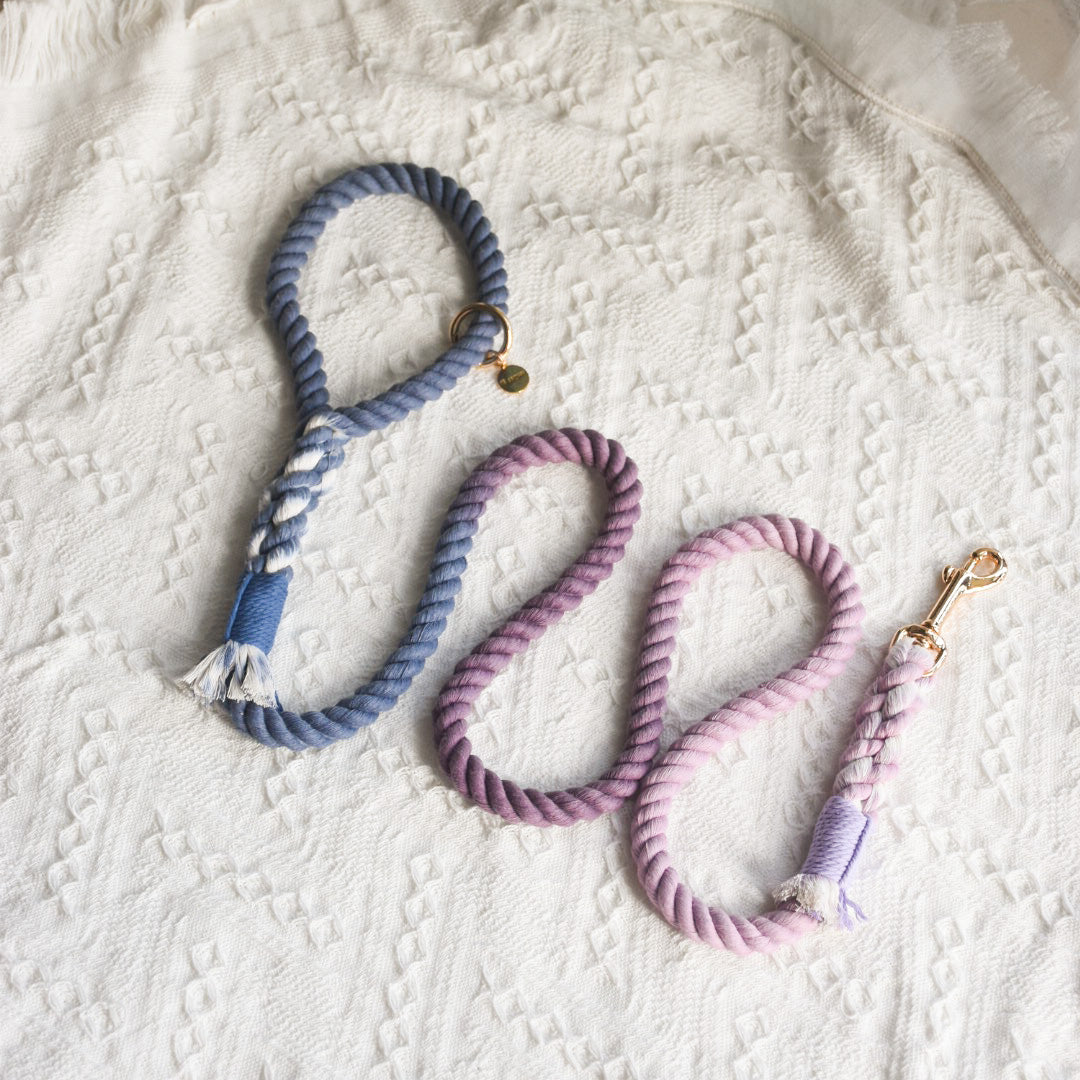 Leash | Violet