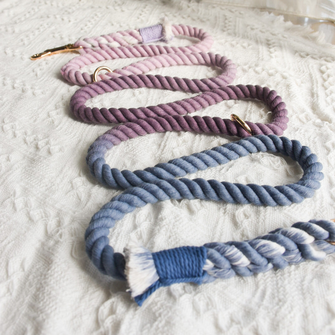 Leash | Violet