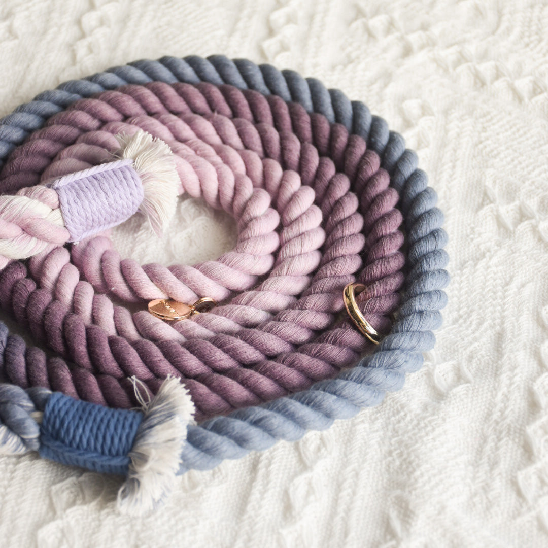 Leash | Violet