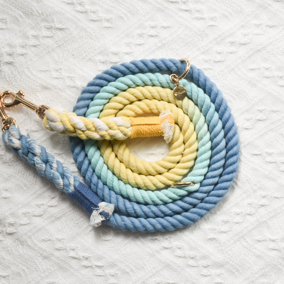 Leash | Dawn
