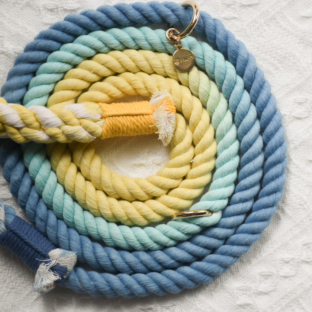 Leash | Dawn