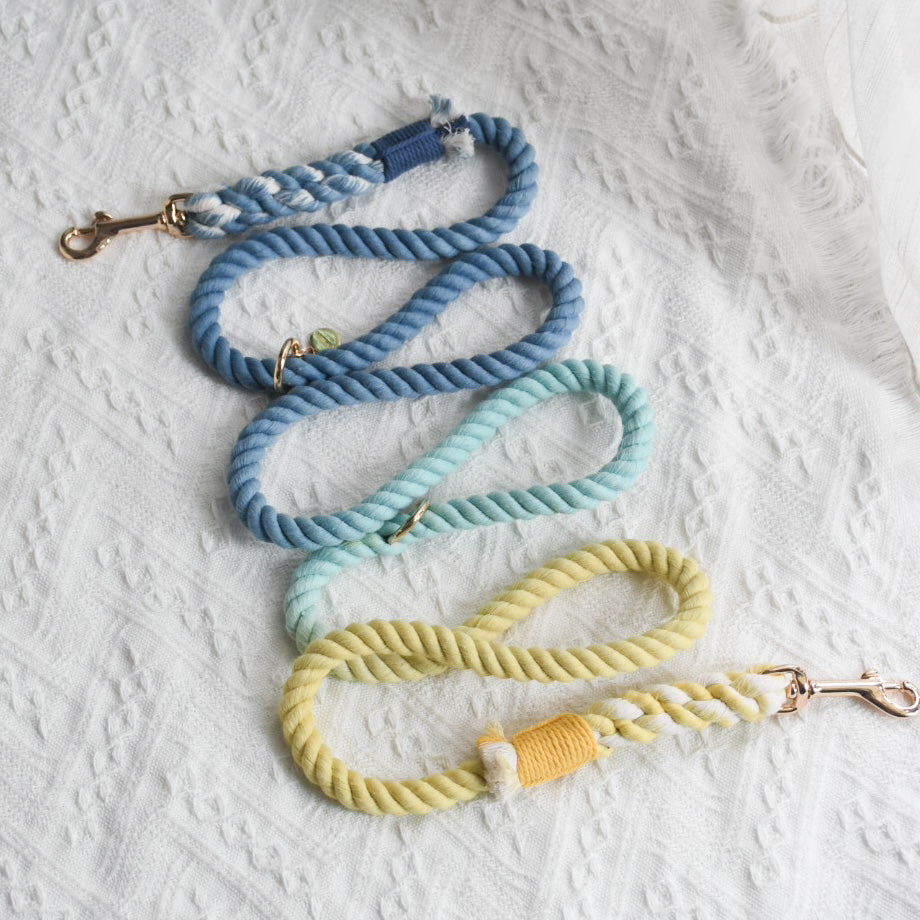Leash | Dawn