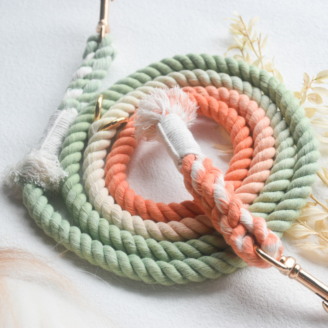 Leash | Bubble Soda