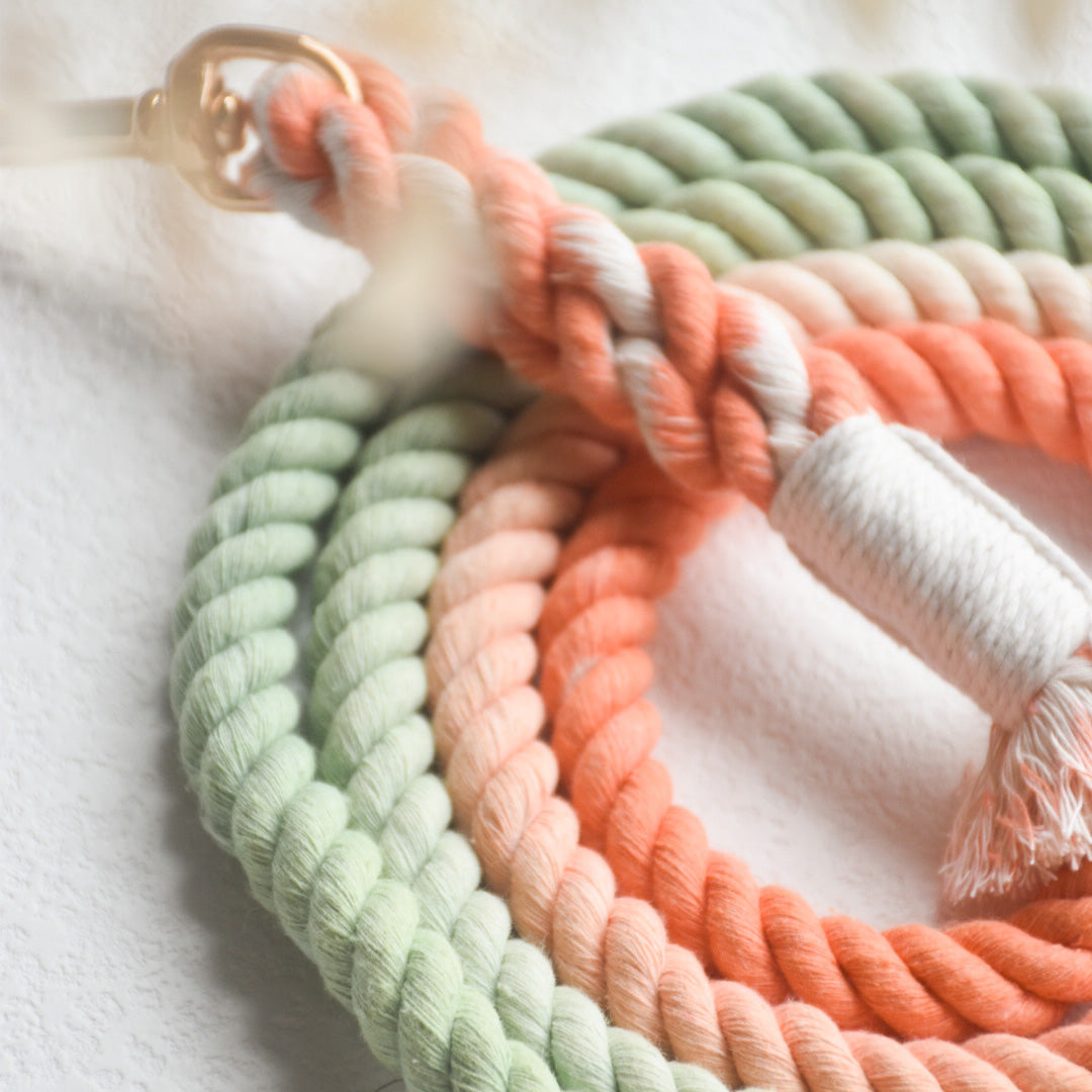 Leash | Bubble Soda
