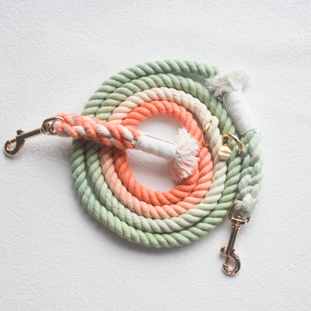 Leash | Bubble Soda