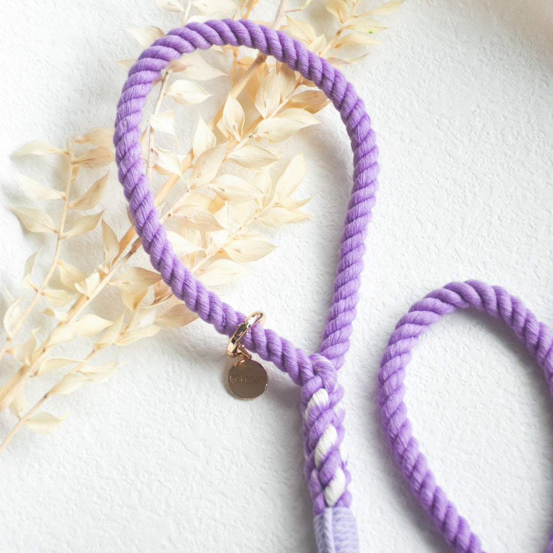Leash | Purple