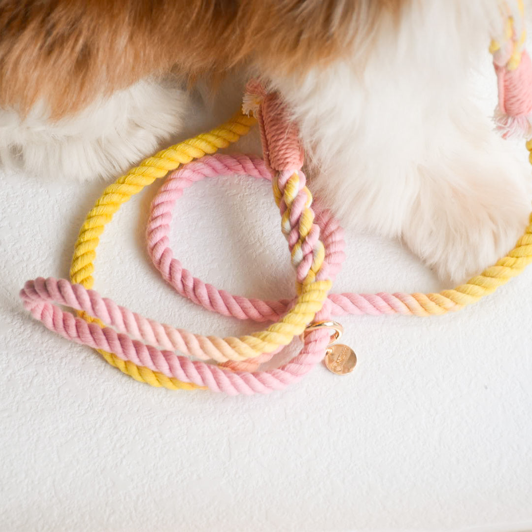 Leash | Marshmallow