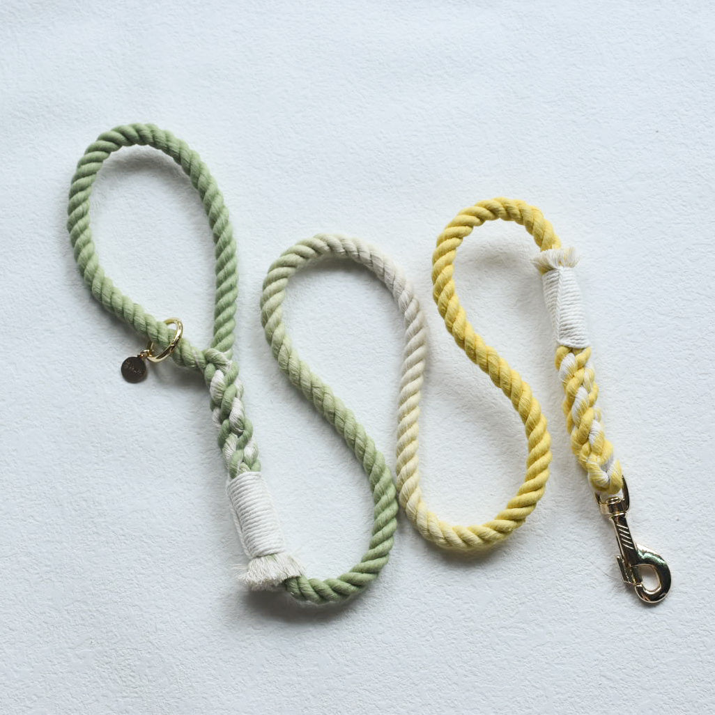 Leash |  Lime Lemonade