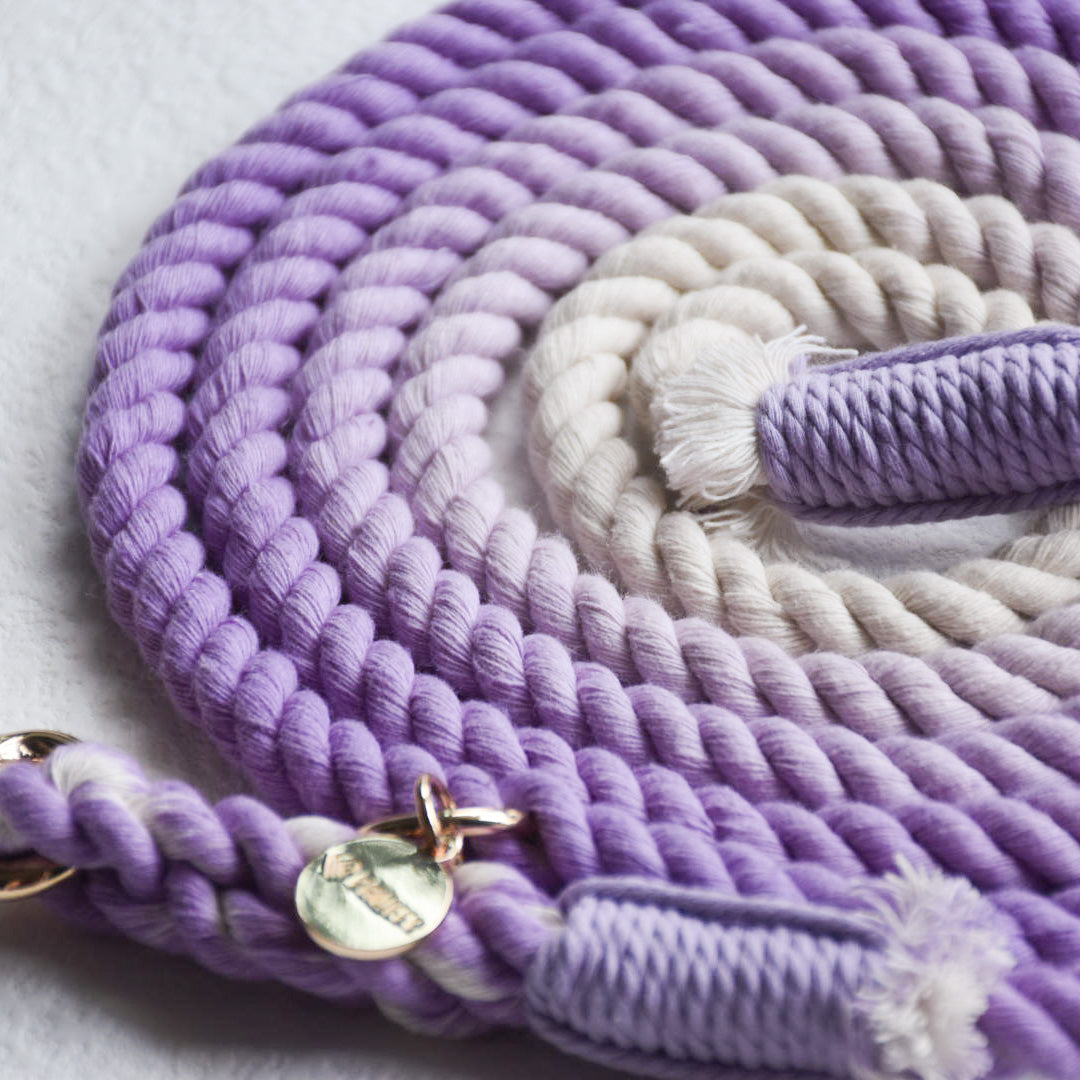 Leash | Purple