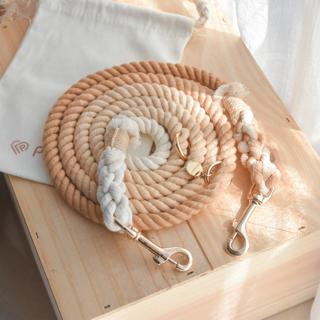 Leash | Tan