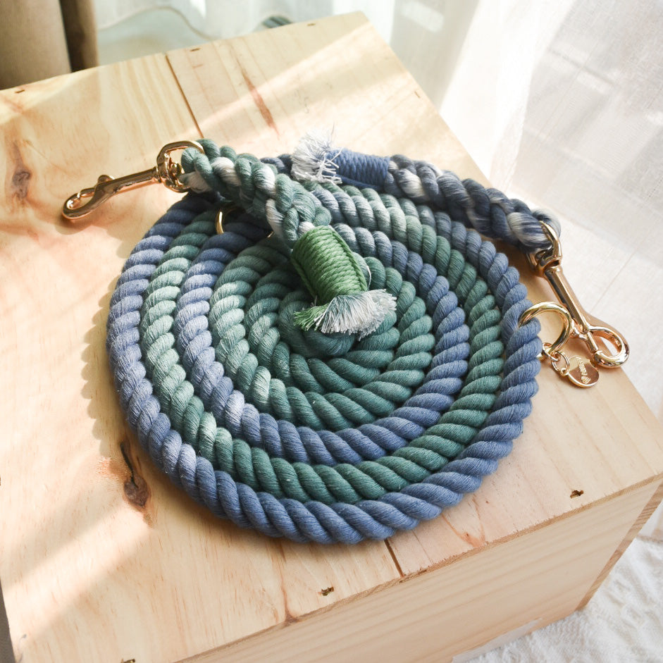 Leash | Evening Ocean