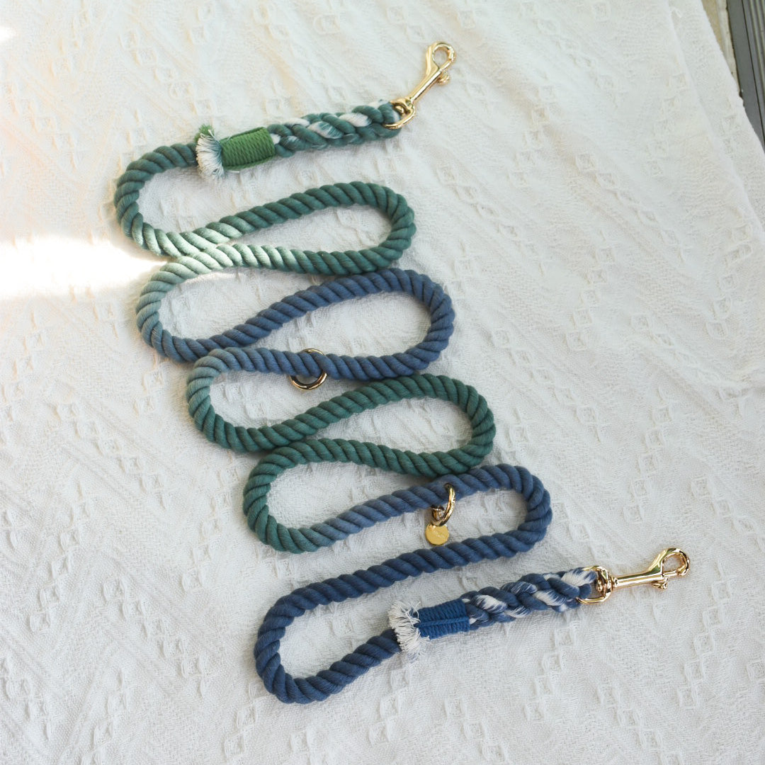 Leash | Evening Ocean