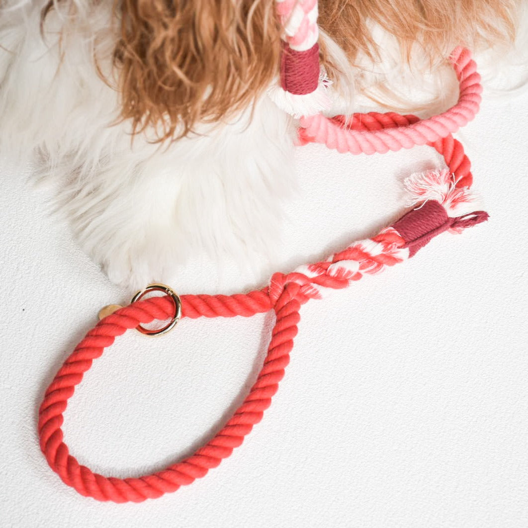 Leash | Red