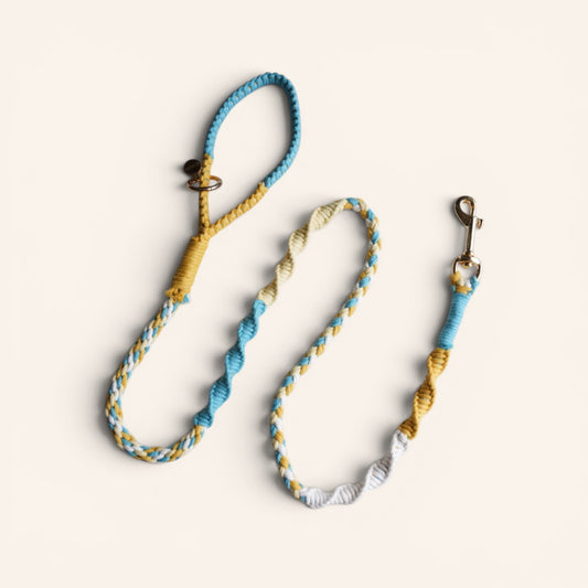 Cotton Bloom Leash | Sunflower Field