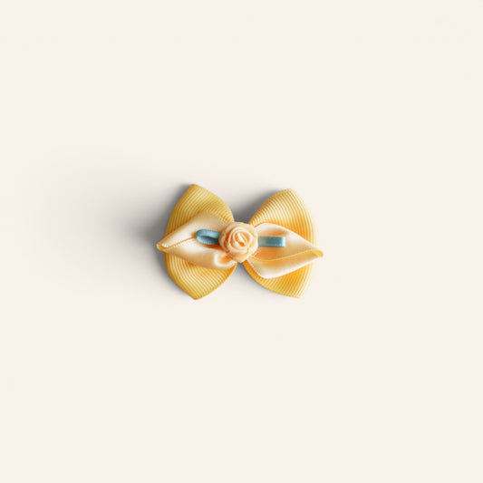 Hair Clip