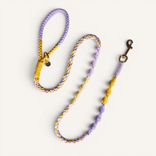 Cotton Bloom Leash | Lavender Sun